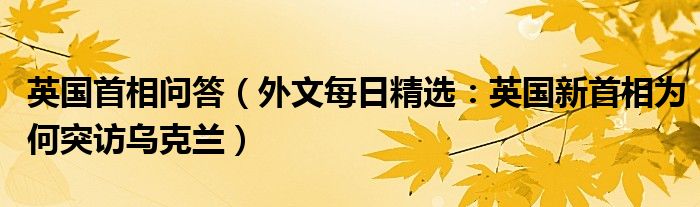 英国首相问答（外文每日精选：英国新首相为何突访乌克兰）