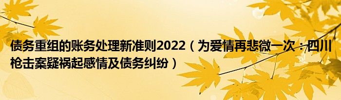 债务重组的账务处理新准则2022（为爱情再悲微一次：四川枪击案疑祸起感情及债务纠纷）