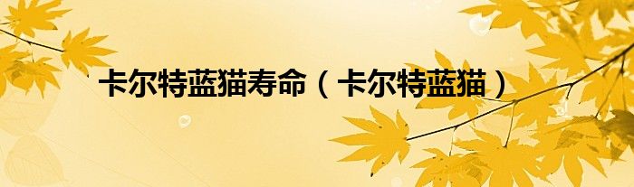 卡尔特蓝猫寿命（卡尔特蓝猫）