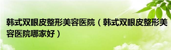 韩式双眼皮整形美容医院（韩式双眼皮整形美容医院哪家好）