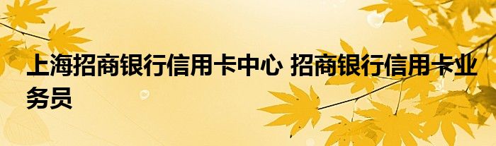 上海招商银行信用卡中心 招商银行信用卡业务员