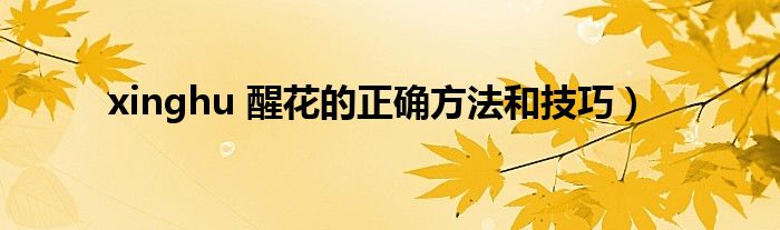 xinghu 醒花的正确方法和技巧）