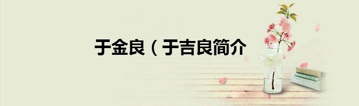 于金良（于吉良简介