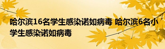 哈尔滨16名学生感染诺如病毒 哈尔滨6名小学生感染诺如病毒