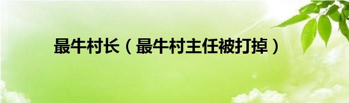 最牛村长（最牛村主任被打掉）