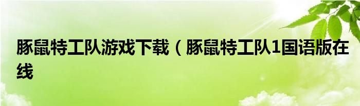 豚鼠特工队游戏下载（豚鼠特工队1国语版在线