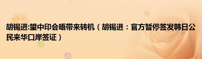 胡锡进:望中印会晤带来转机（胡锡进：官方暂停签发韩日公民来华口岸签证）