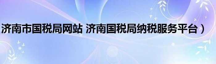 济南市国税局网站 济南国税局纳税服务平台）