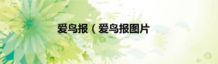 爱鸟报（爱鸟报图片