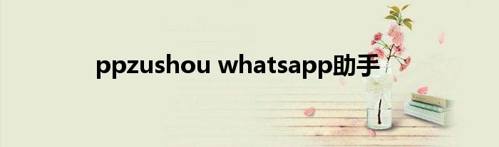 ppzushou whatsapp助手