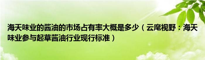 海天味业的酱油的市场占有率大概是多少（云麾视野：海天味业参与起草酱油行业现行标准）