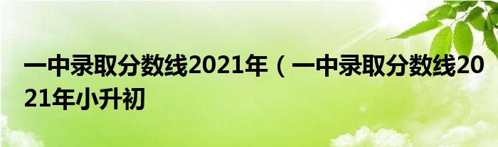 一中录取分数线2021年（一中录取分数线2021年小升初