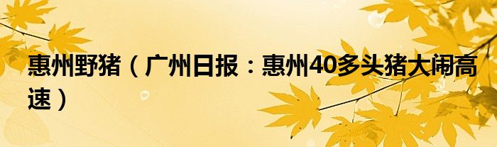 惠州野猪（广州日报：惠州40多头猪大闹高速）