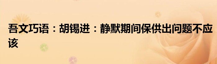 吾文巧语：胡锡进：静默期间保供出问题不应该