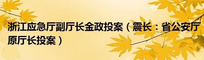 浙江应急厅副厅长金政投案（震长：省公安厅原厅长投案）