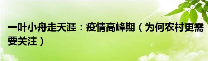 一叶小舟走天涯：疫情高峰期（为何农村更需要关注）
