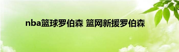 nba篮球罗伯森 篮网新援罗伯森