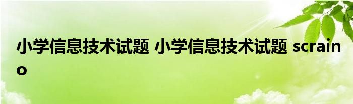 小学信息技术试题 小学信息技术试题 scraino