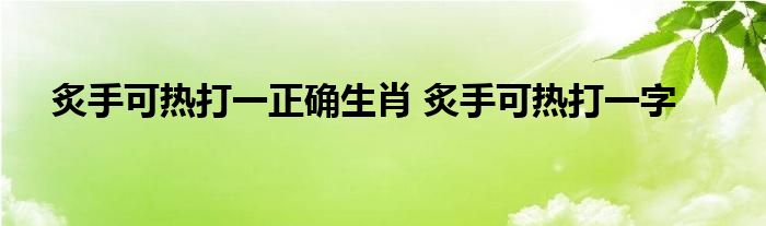 炙手可热打一正确生肖 炙手可热打一字