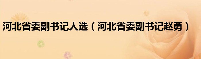 河北省委副书记人选（河北省委副书记赵勇）