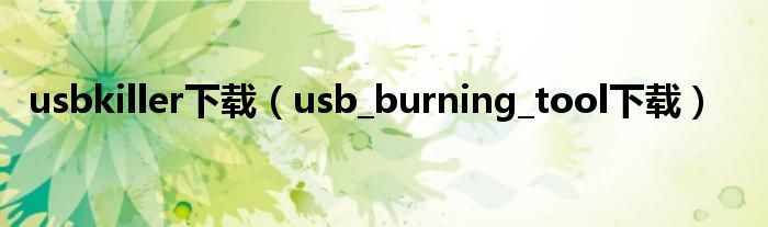 usbkiller下载（usb_burning_tool下载）
