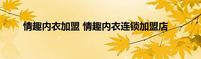 情趣内衣加盟 情趣内衣连锁加盟店