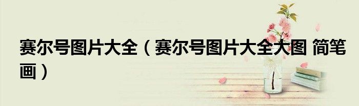 赛尔号图片大全（赛尔号图片大全大图 简笔画）