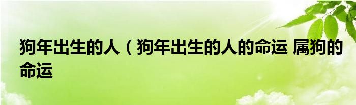 狗年出生的人（狗年出生的人的命运 属狗的命运