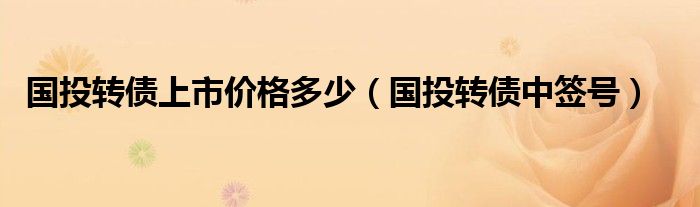 国投转债上市价格多少（国投转债中签号）