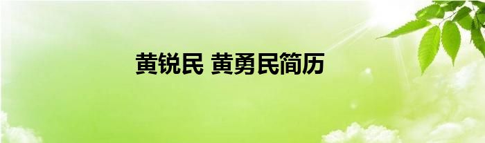 黄锐民 黄勇民简历