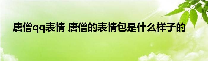 唐僧qq表情 唐僧的表情包是什么样子的