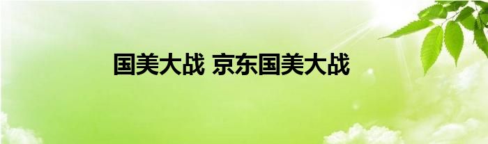 国美大战 京东国美大战