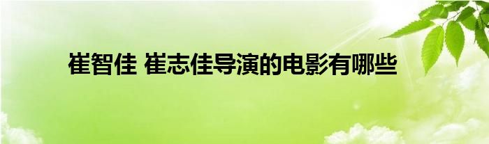 崔智佳 崔志佳导演的电影有哪些