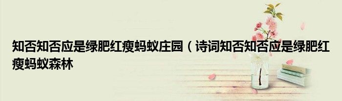 知否知否应是绿肥红瘦蚂蚁庄园（诗词知否知否应是绿肥红瘦蚂蚁森林