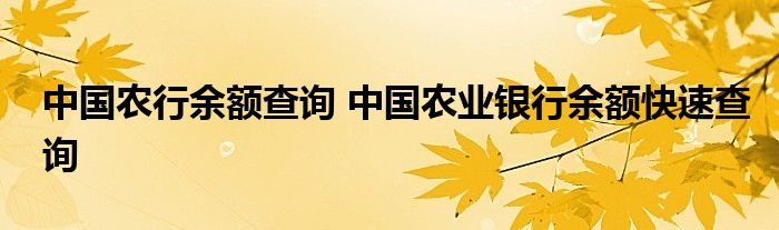 中国农行余额查询 中国农业银行余额快速查询