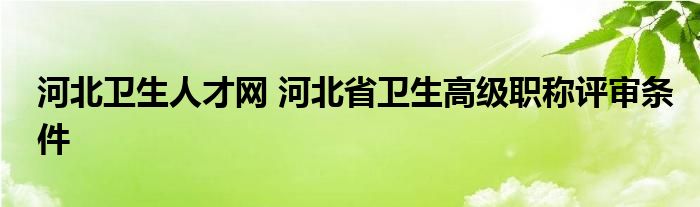 河北卫生人才网 河北省卫生高级职称评审条件