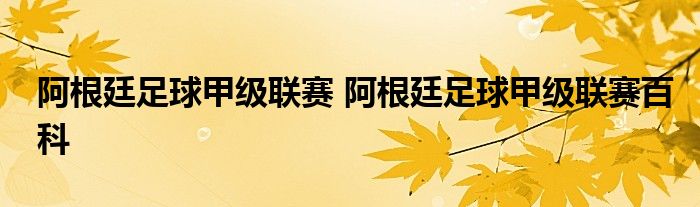 阿根廷足球甲级联赛 阿根廷足球甲级联赛百科