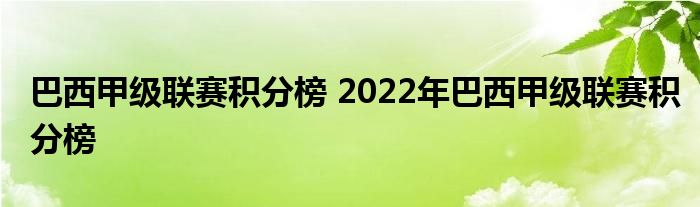 巴西甲级联赛积分榜 2022年巴西甲级联赛积分榜