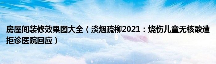 房屋间装修效果图大全（淡烟疏柳2021：烧伤儿童无核酸遭拒诊医院回应）