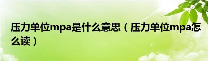 166su网友科普：深入解析mpa是什么意思及其应用