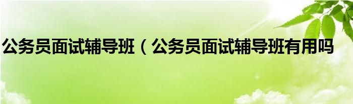 公务员面试辅导班（公务员面试辅导班有用吗