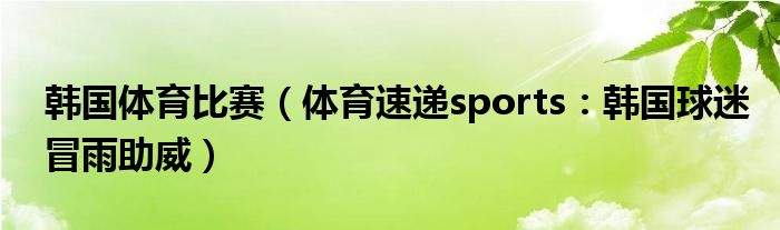 韩国体育比赛（体育速递sports：韩国球迷冒雨助威）