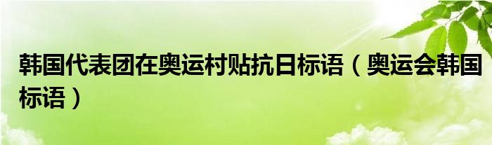 韩国代表团在奥运村贴抗日标语（奥运会韩国标语）