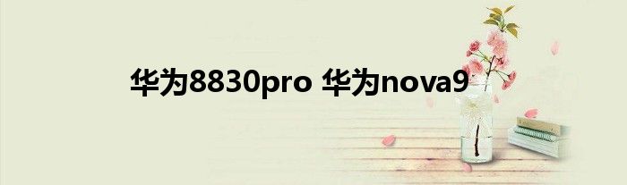 华为8830pro 华为nova9