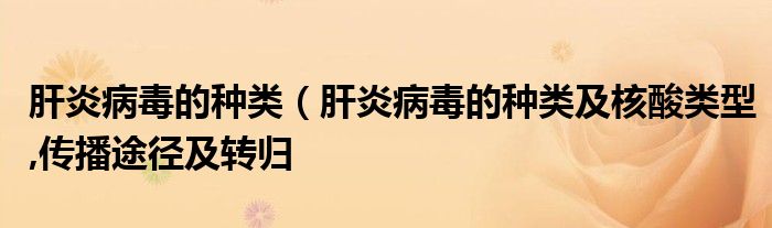 肝炎病毒的种类（肝炎病毒的种类及核酸类型,传播途径及转归