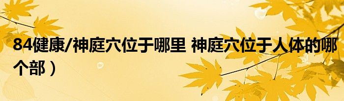 84健康/神庭穴位于哪里 神庭穴位于人体的哪个部）