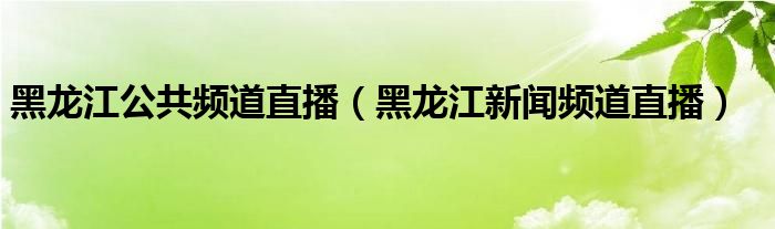 黑龙江公共频道直播（黑龙江新闻频道直播）