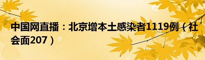 中国网直播：北京增本土感染者1119例（社会面207）