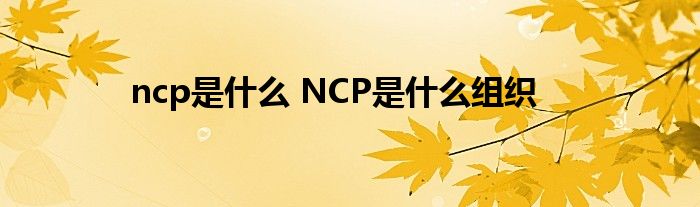 ncp是什么 NCP是什么组织