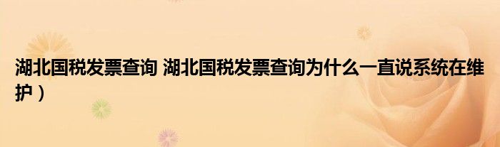 湖北国税发票查询 湖北国税发票查询为什么一直说系统在维护）